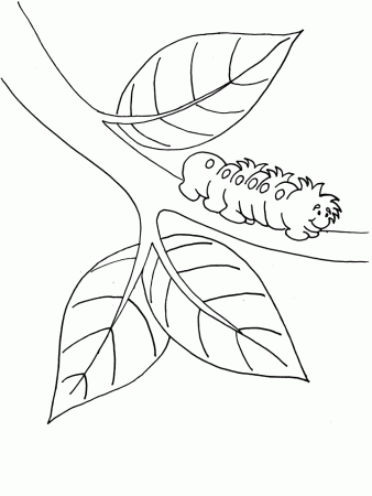 Caterpillar Coloring Book Page
