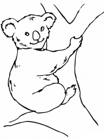 Beautiful Koala Bear Coloring Pages For Kids High Definition 