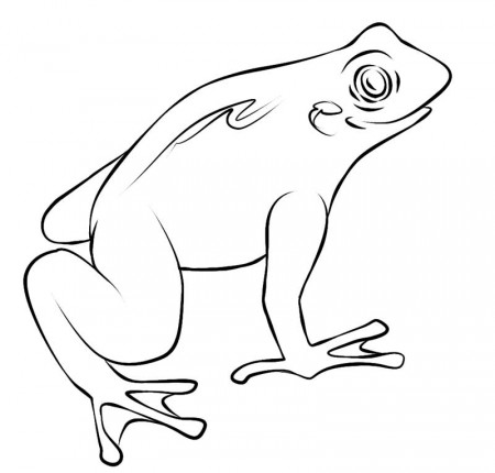 Slimmy Frog Coloring Page: slimmy-frog-coloring-pages – Color Kiddo