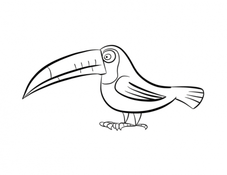 Toucan Coloring Page | Coloring Pages