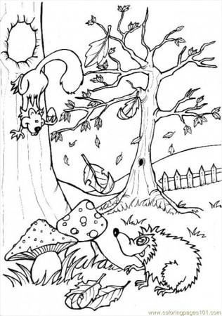Forest Scene Coloring Pages