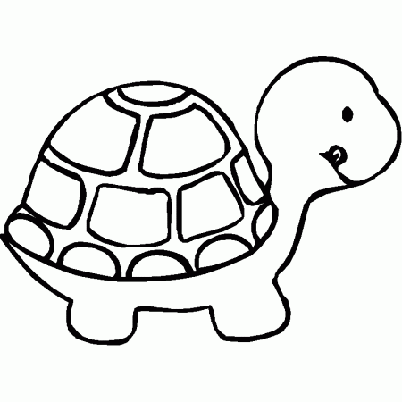 animals-coloring-turtle.gif (800×800) | Name tags