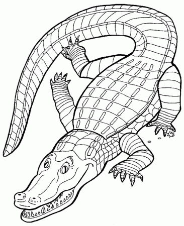 Crocodile coloring page - Animals Town - animals color sheet 