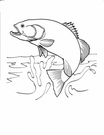 Realistic Fish Coloring Pages | Outdoor fest.