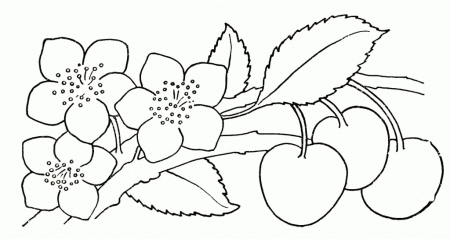 Roses Coloring Pages - Coloring For KidsColoring For Kids