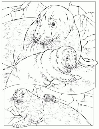 GEOGRAPHY Colouring Pages (page 2)