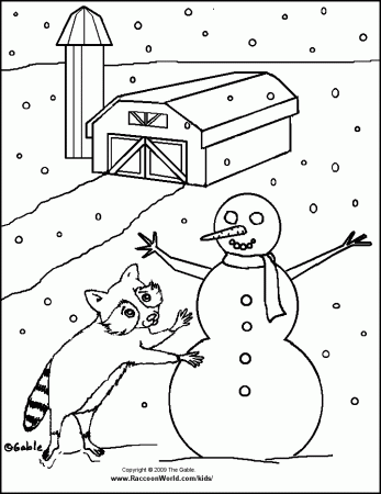 Raccoon Snowman Bandit - Raccoons Coloring Book from the Gable's 