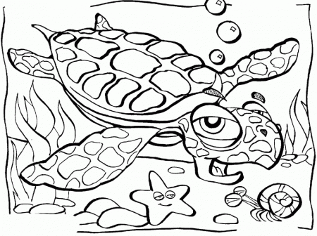 Download Turtle Diets On The Grass Coloring Page Or Print Turtle 