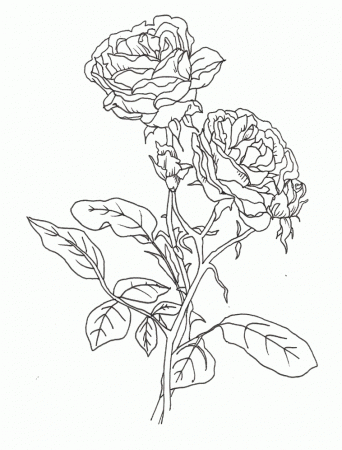 Rose Flower And Unique In The Vase Coloring Page |Flower coloring 