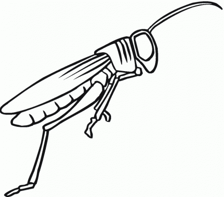 Grasshopper Grasshopper Clipart Black And White Grasshopper 176717 