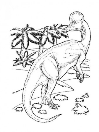 Realistic Dinosaurs - How To Draw A Brachiosaurus Dinosaur