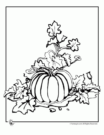 Pumpkin Patch Coloring Pages Images & Pictures - Becuo