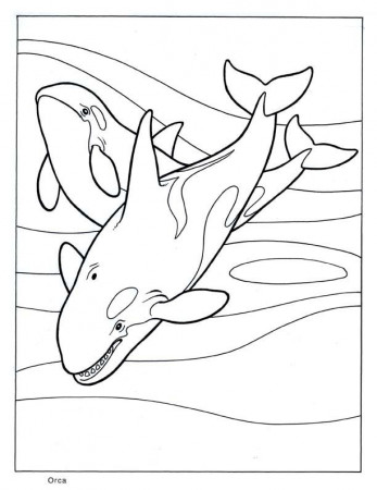 Orca Whale Coloring Pages
