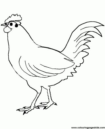 Free printable Printable coloring pages of birds - Chicken 01 for 
