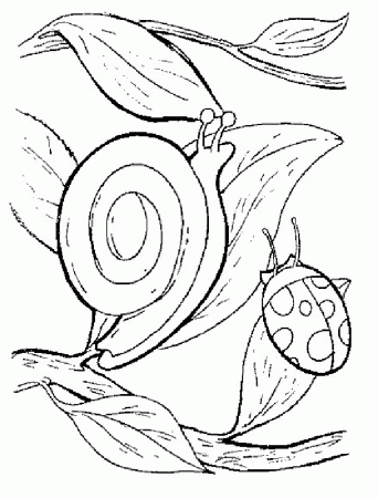Snails Coloring Pages 14 | Free Printable Coloring Pages 