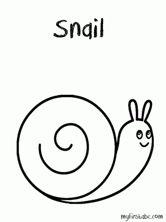 Moon Snail Sea Shell Coloring Page