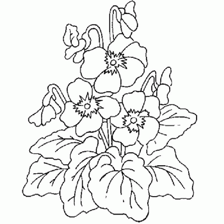 Spring Flower Coloring Pages Printable