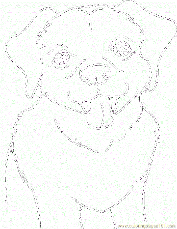 yellow labs Colouring Pages
