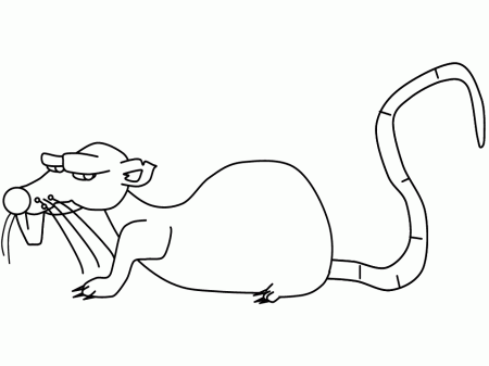 Rat2 Animals Coloring Pages & Coloring Book