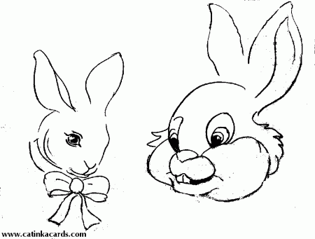 coloring pages rabbit : Printable Coloring Sheet ~ Anbu Coloring 