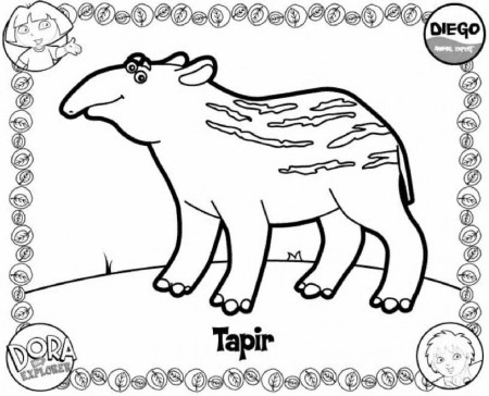 Tapir / Diego Coloring Pages