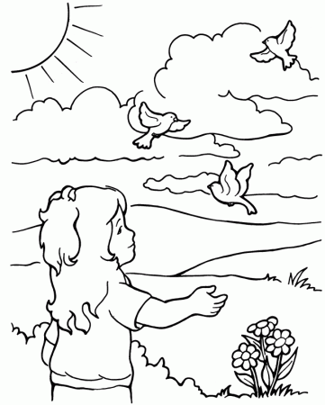Birds of the Air - Coloring Page