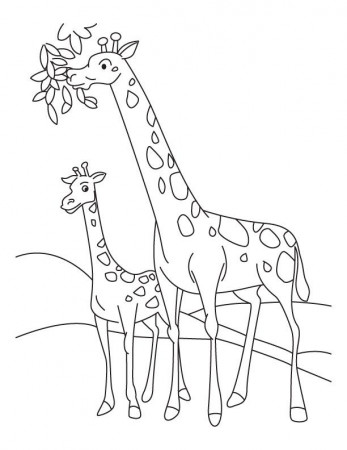 Two Giraffes Together Coloring Page | Kids Coloring Page