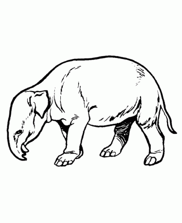 Dinosaur Coloring Pages | Printable Moeritherium coloring page and 
