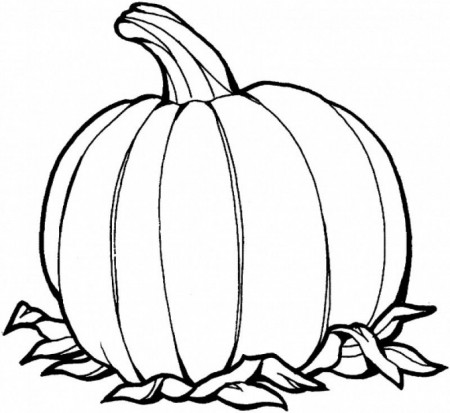 pumpkin blank Colouring Pages
