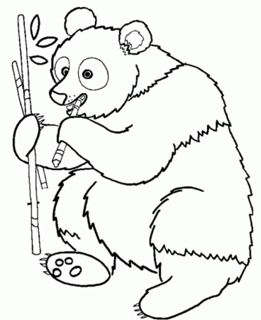 Download Free Printable Animal Coloring Pages Panda Eating Bamboo 