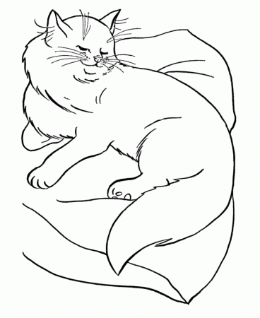 cat mates Colouring Pages