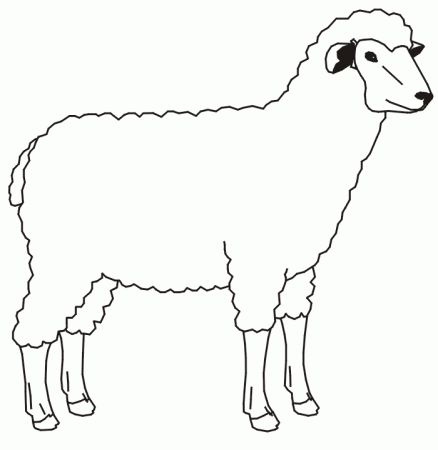 Farm animal coloring page of a simple sheep | coloring pages