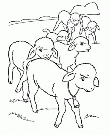 Printable Sheep Coloring Pages For Kids | Coloring Pages