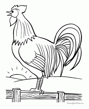 Rooster Coloring Pages | Openwheel.org Kids