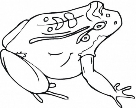 Frog And Toad Coloring Pages - HD Printable Coloring Pages