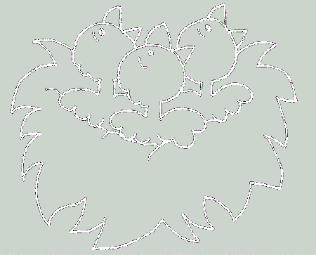 Children Starving birds Coloring Pages - Birds Coloring Pages 