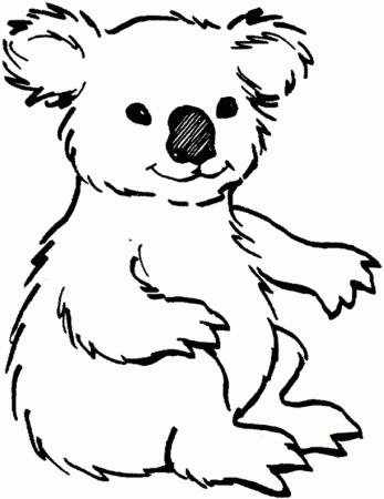 Animal Coloring Pages: Koala coloring pages