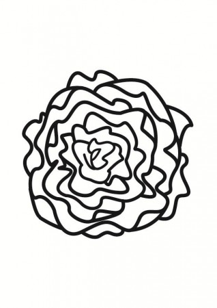Coloring page lettuce - img 23245.