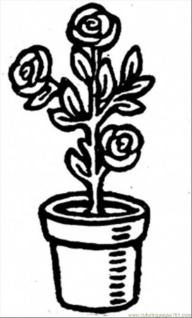 Coloring Pages Roses In A Pot (Natural World > Flowers) - free 