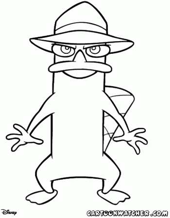 Agent P / Perry coloring page | Phinneas and Ferb party