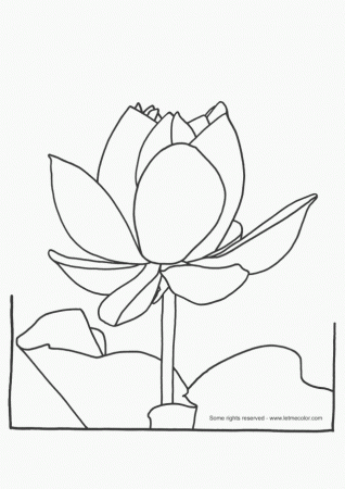 Printable Coloring Page Of Lotus Flower Id 2465 Uncategorized 