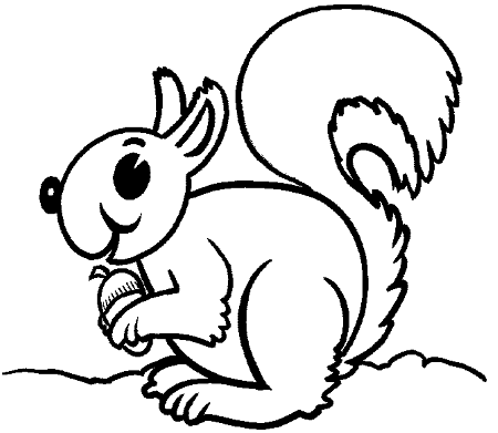 Gray Squirrel Coloring Page | Coloring