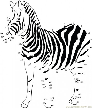 Connect the Dots Young Zebra (Animals > Zebra) - dot to dots for kids