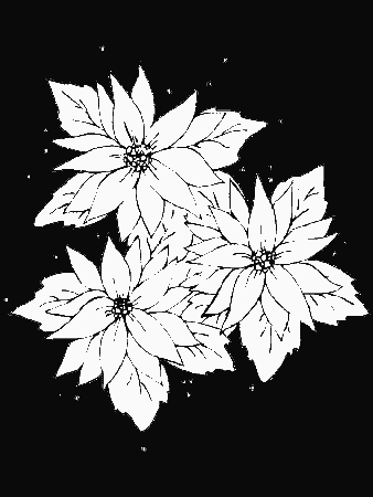 Poinsettia2 Holidays Coloring Pages & Coloring Book