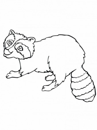 Printable Raccoon Coloring Pages For Kids | Coloring Pages