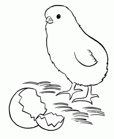 Easter Chicks Coloring Pages : Coloring Book Area Best Source for 