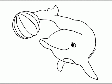 Dolphin Coloring Pages For Adults Coloring Pages For Kids Android 