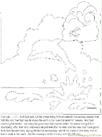 All Of Creation Coloring Pages