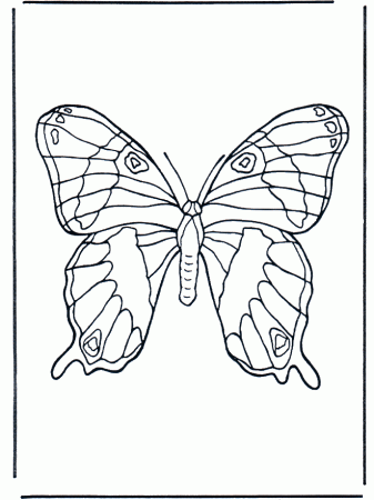 Animals Coloring Pages Insects Coloring Page Butterfly 1