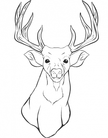 A Deer Head Coloring For Kids - animal Coloring Pages : Free 